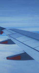 Plane wing